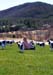 Outstanding in her field...of cows